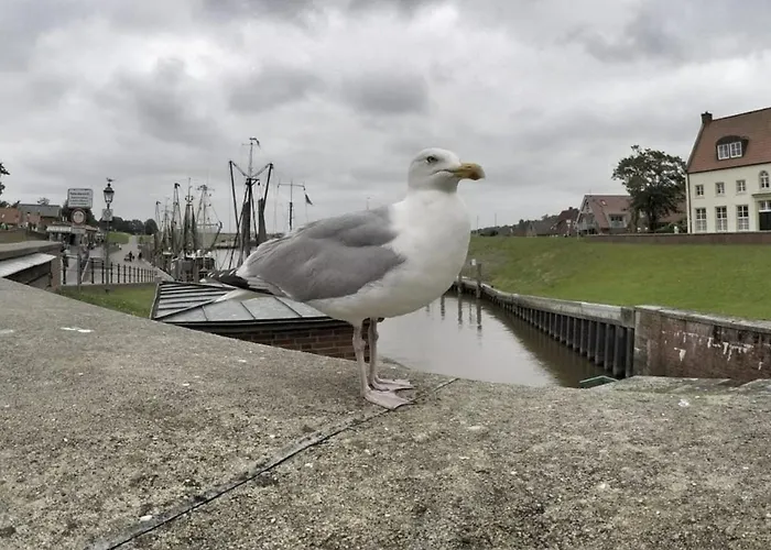 Seemoewe - Ihr Wohlfuehlort An Der Nordsee